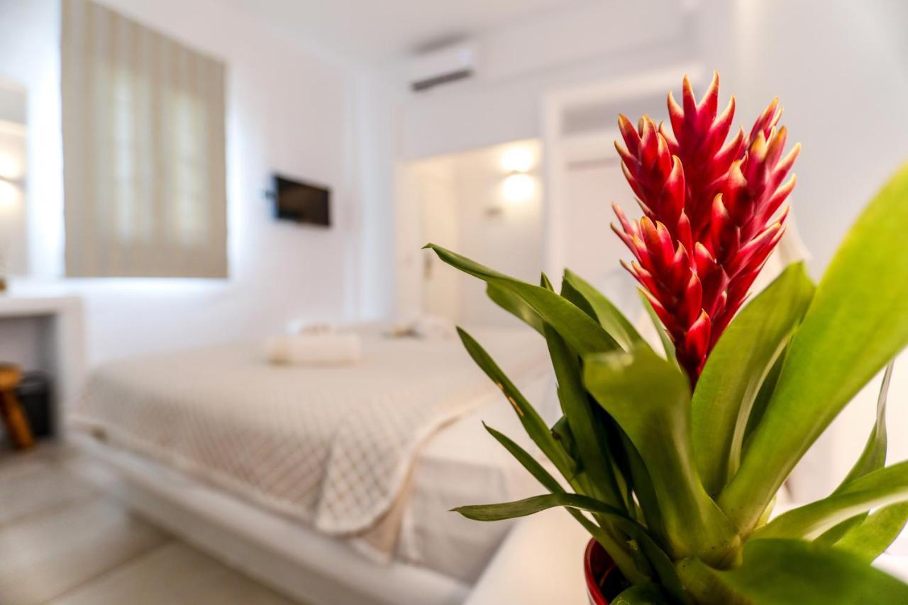 Отель Casa Grande 4*